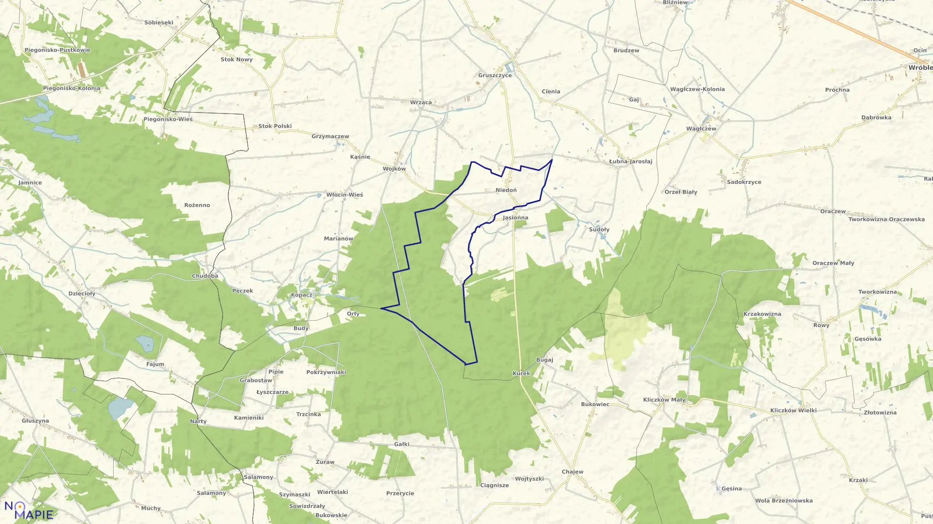 Mapa obrębu NIEDOŃ w gminie Błaszki